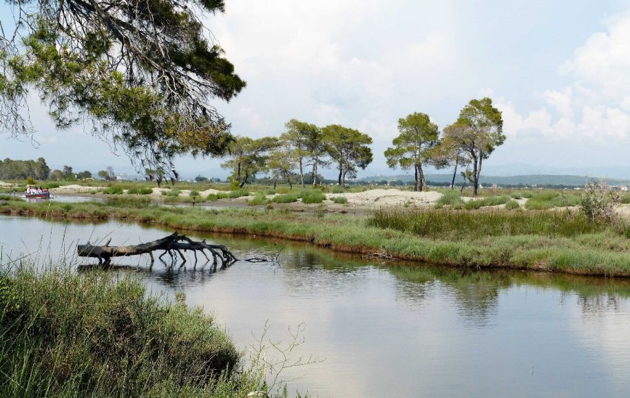 Divjakë Lagoon